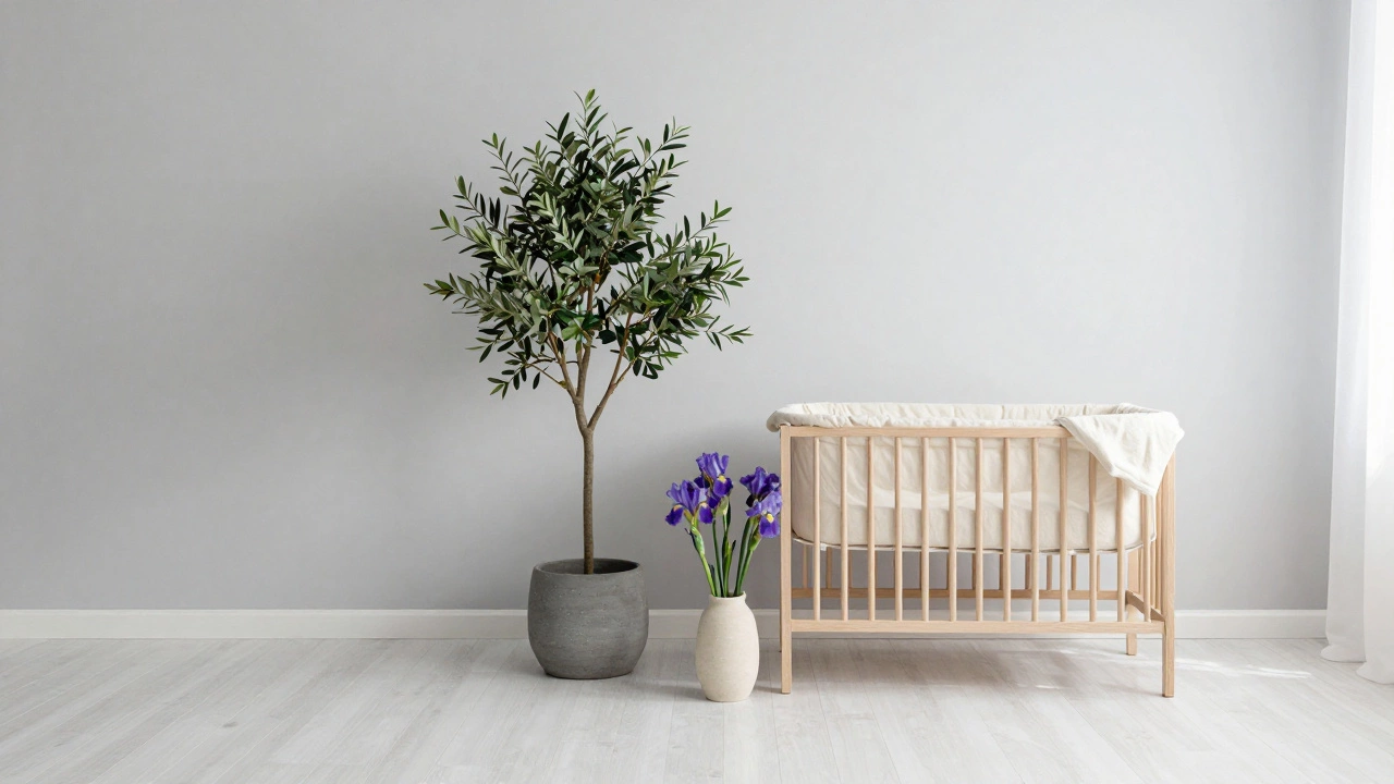 A minimalist gender-neutral nursery featuring a potted olive tree and organic cotton bassinet.